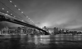 Pepe_Soho_Brooklyn_Bridge_V