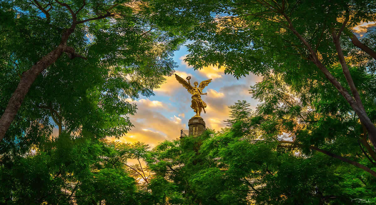 Querida_Ciudad_grande