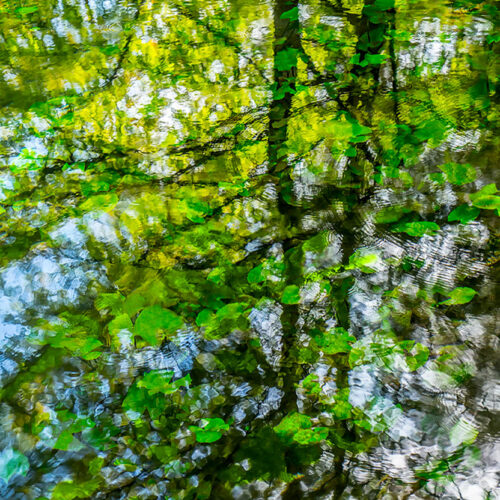 REFLEJO DE MEDIA LUNA